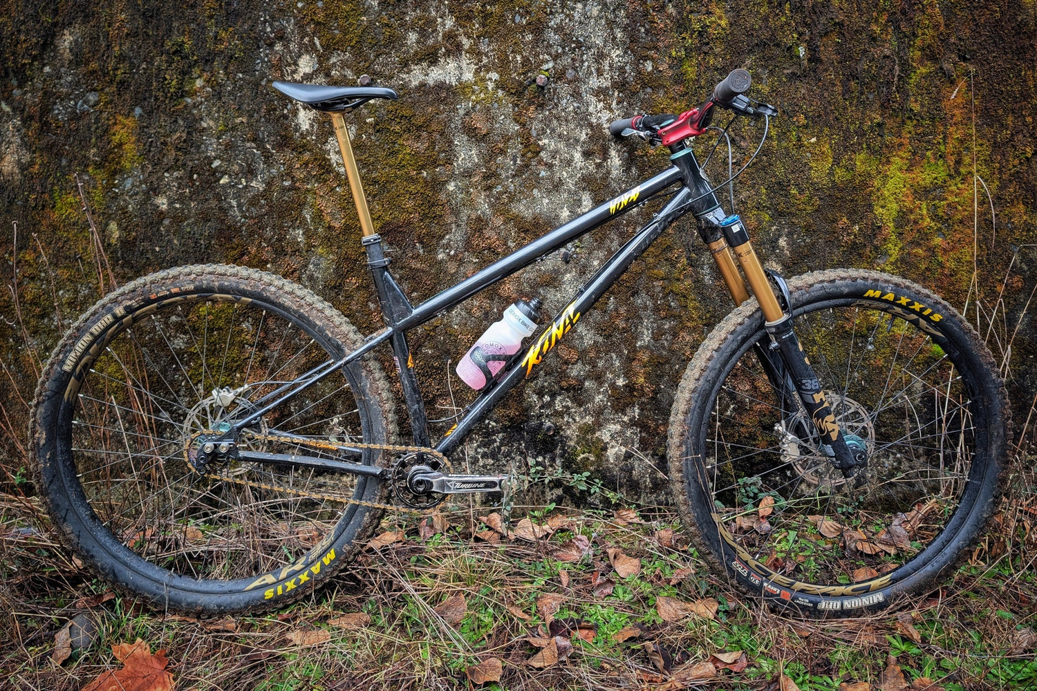 Kona Dream Builds: David's Single Speed Honzo ESD