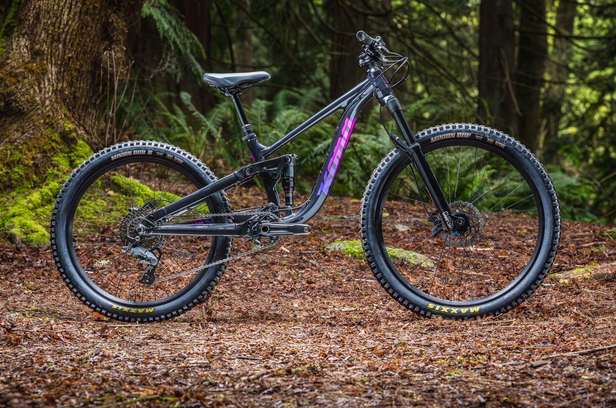『kona☆』 Introducing The All New Kona Process 246 | Kona