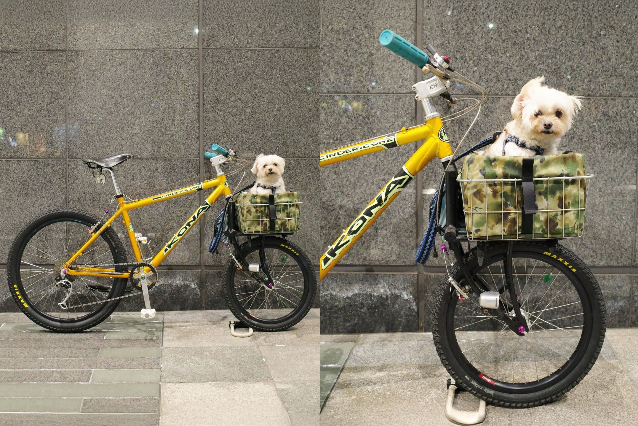 Kona Dream Builds: Maro Bikes Build the Cutest Cargo Bike