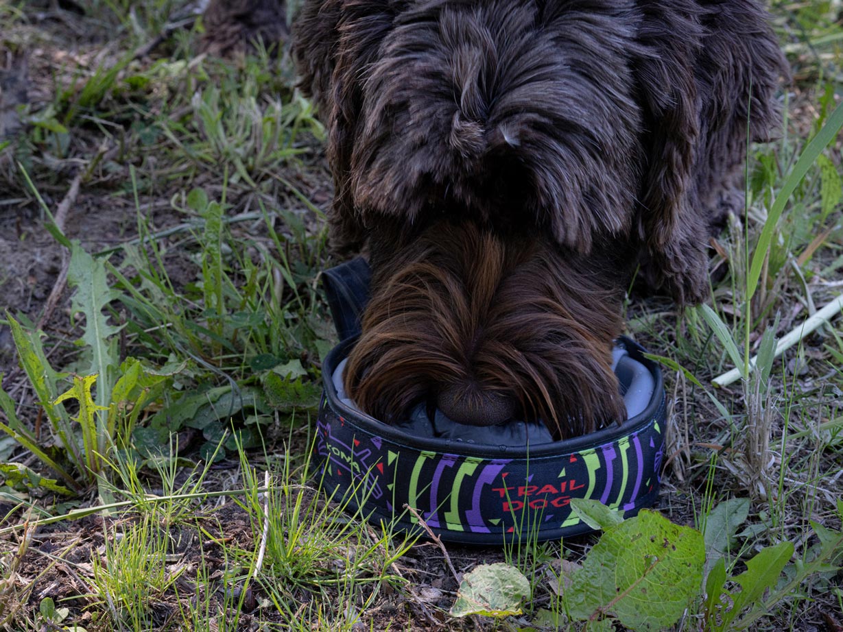 Kona Cycle Dog Packable Bowl