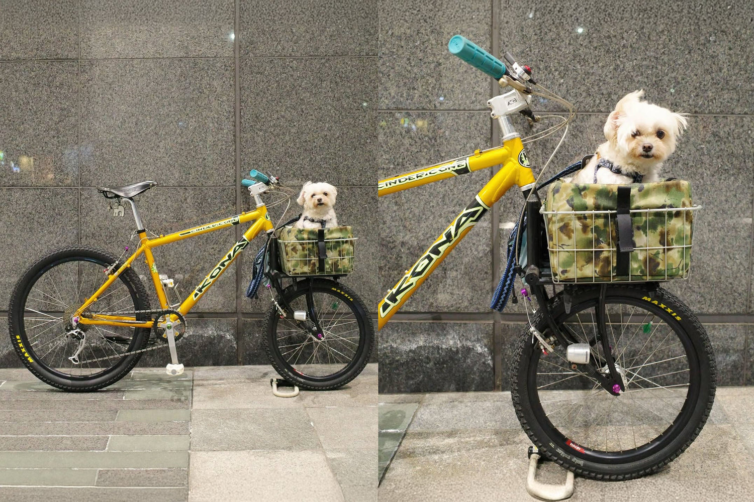 Kona Dream Builds: Maro Bikes Build the Cutest Cargo Bike