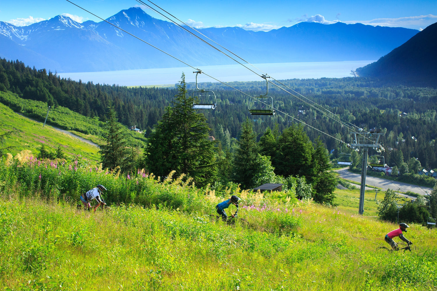 Ride the Wild North This Summer at Alyeska Bike Park