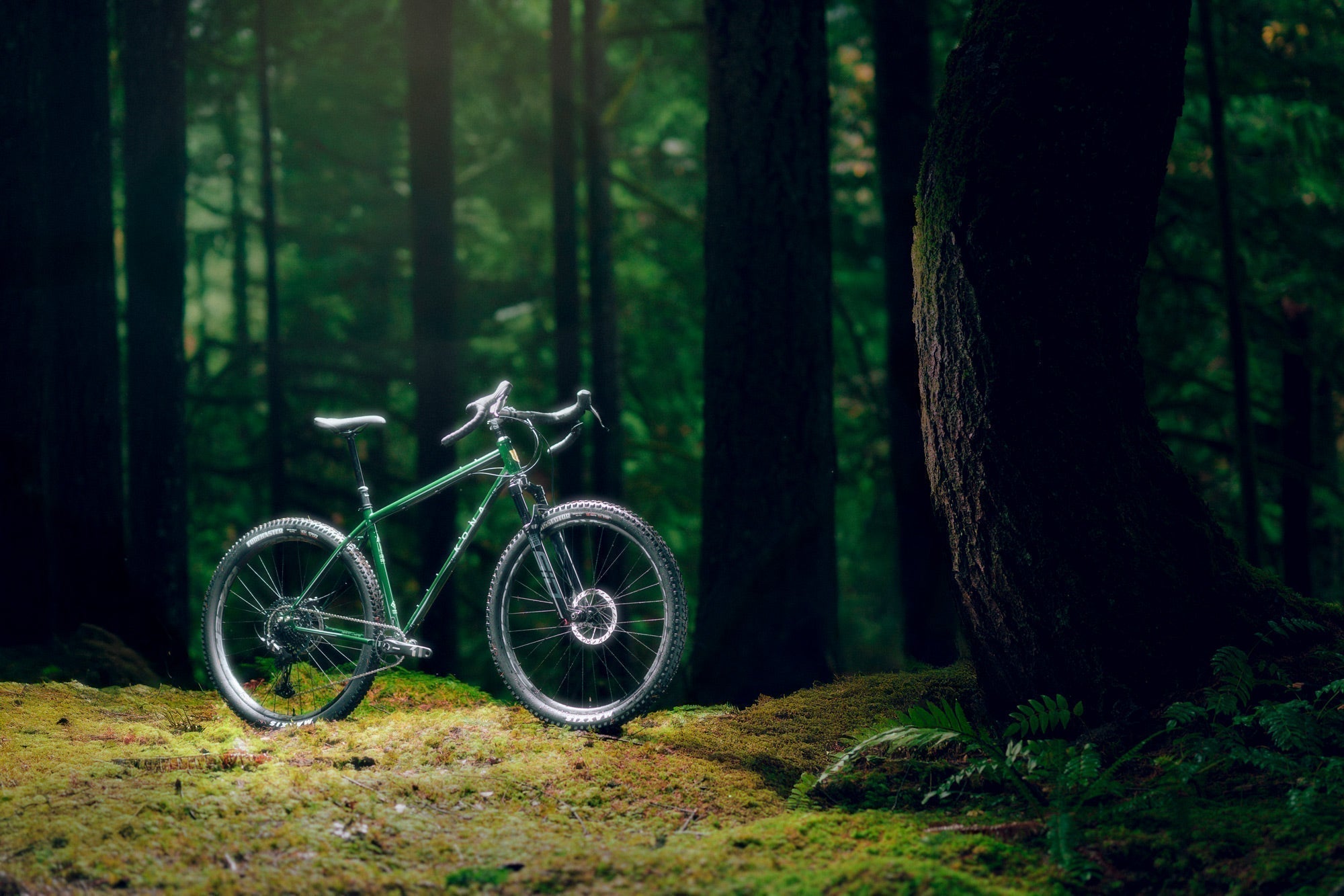 Meet the All-New Kona LBF: Legend of the Big Fork. | Kona